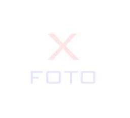 Prodej byt�